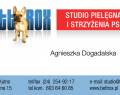 Bettrox studio pielęgnacji i strzyżenia psów 